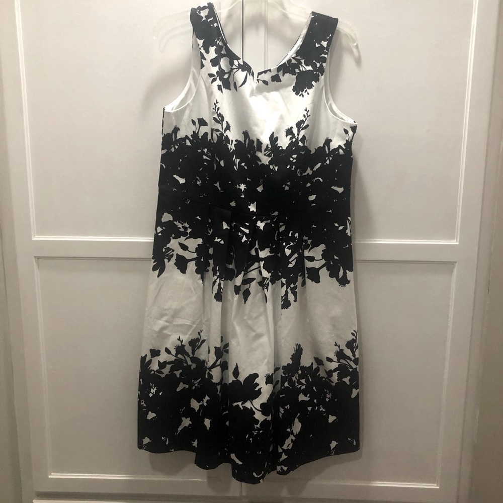 NWT, White House/Black Market cotton dress, never worn, size 14
